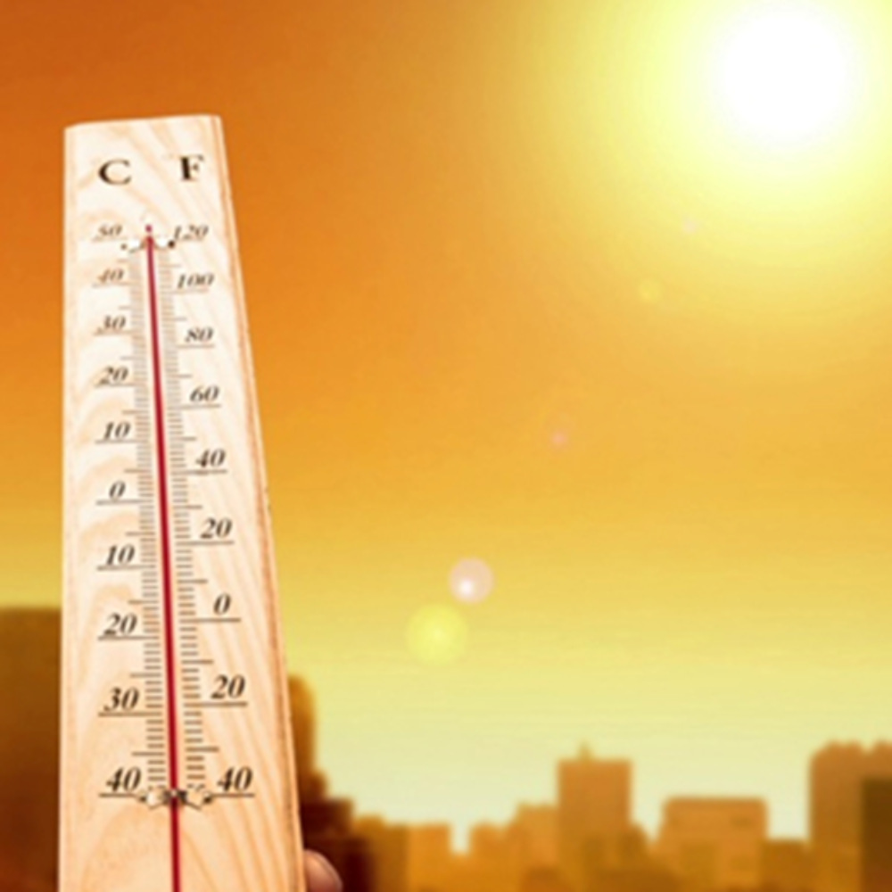 (HSI) Heat Stress ONLINE ONLY