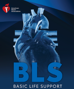 American Heart Association Basic Life Support BLS CPR/AED Skills Session