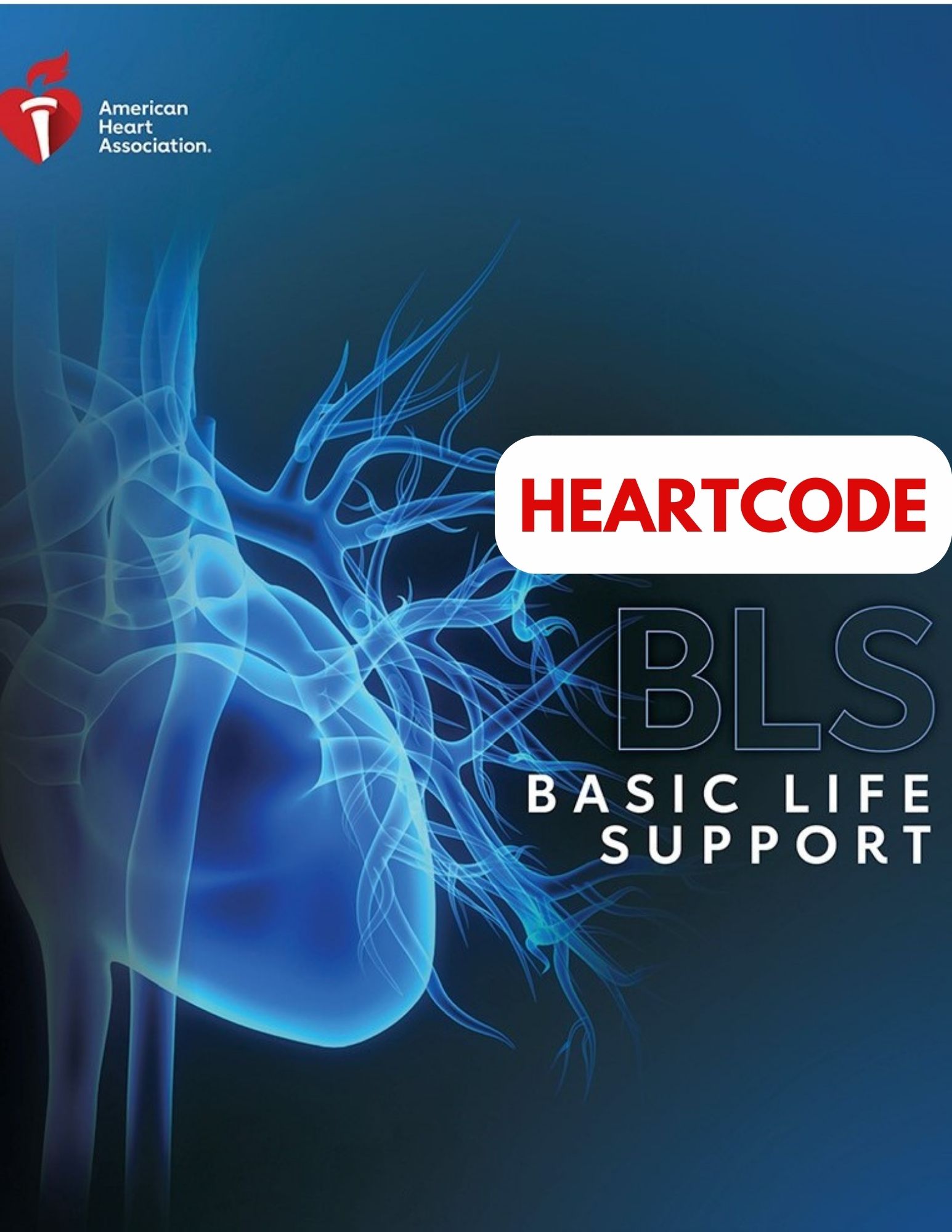 BLS Provider Skills Session