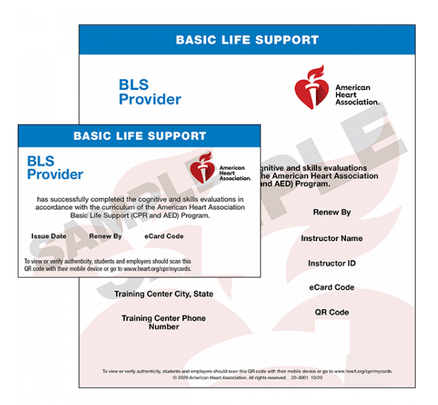 AHA Basic Life Support (BLS) Providers