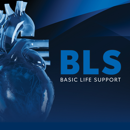 AHA Basic Life Support (BLS) Provider *Healthcare Student Discount Available*